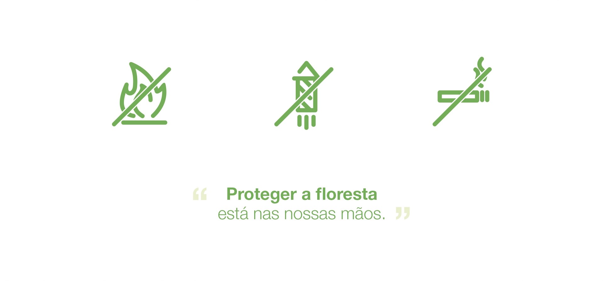 Valorização Florestal - CIRA - Detalhe 4 - LOBA.cx